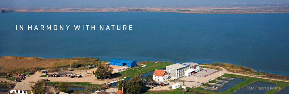 nasl